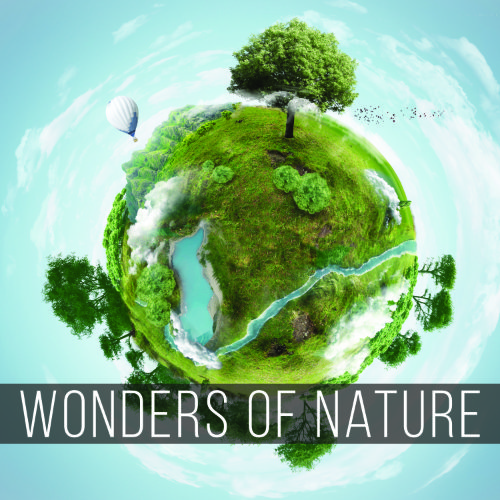 Wonders of Nature [documentary, calm, underscore]
